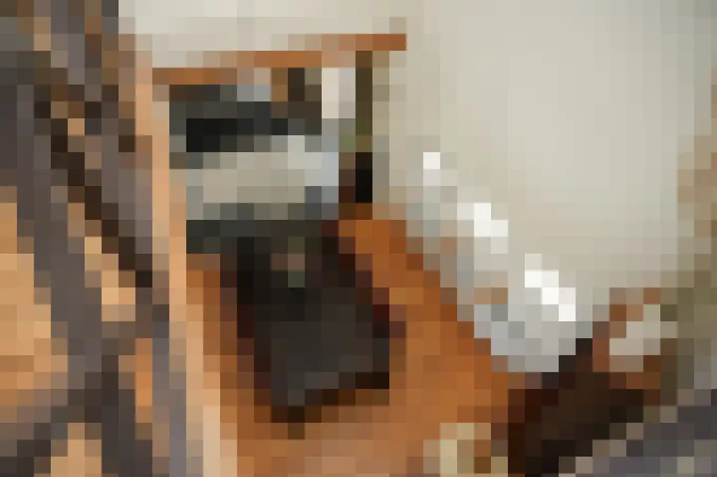 Elsweg 3 Alphen thumbnail 56