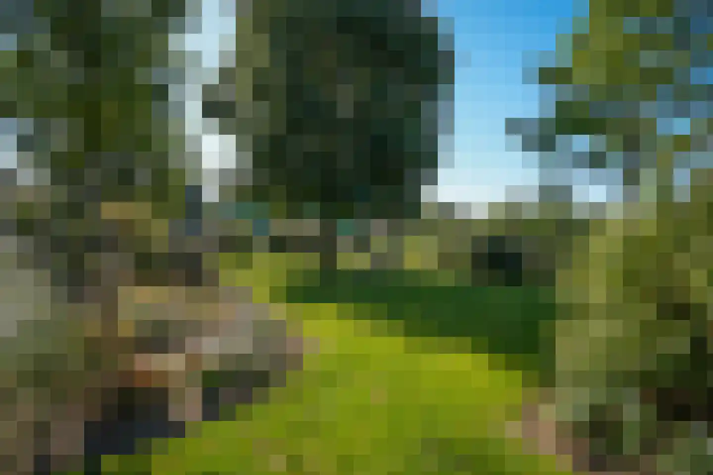 Elsweg 3 Alphen thumbnail 61