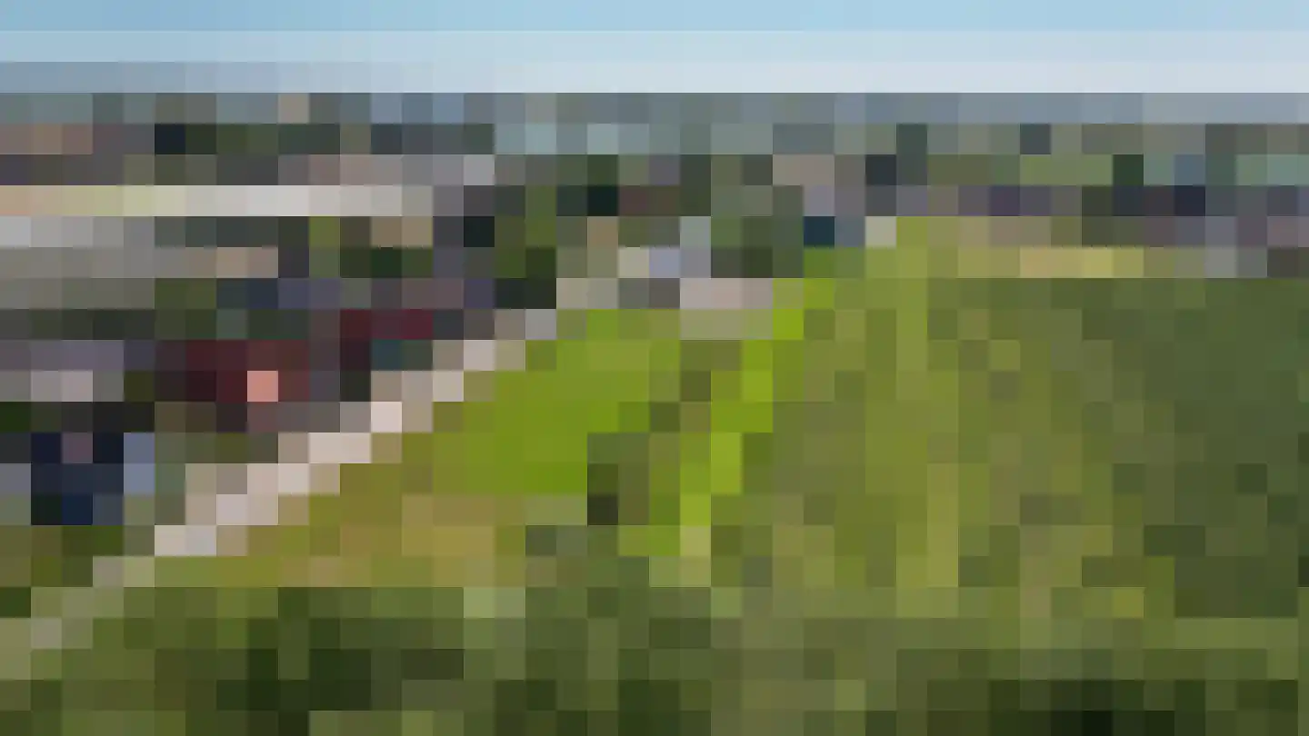 Elsweg 3 Alphen thumbnail 86
