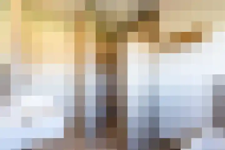 Elsweg 38 Harderwijk thumbnail 33