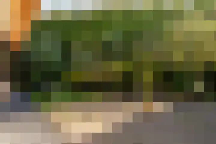 Elsweg 38 Harderwijk thumbnail 42