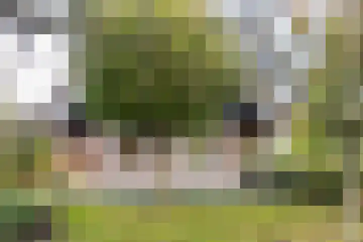 Elsweg 38 Harderwijk thumbnail 43