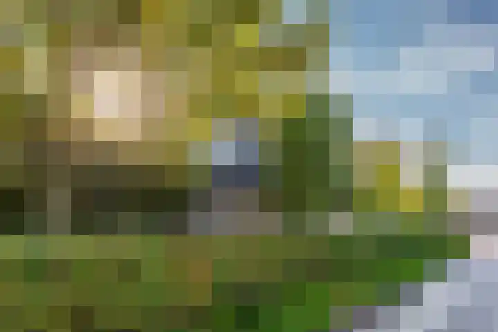 Elsweg 38 Harderwijk thumbnail 49