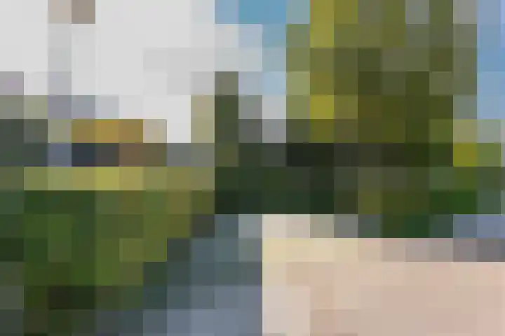 Elsweg 38 Harderwijk thumbnail 50