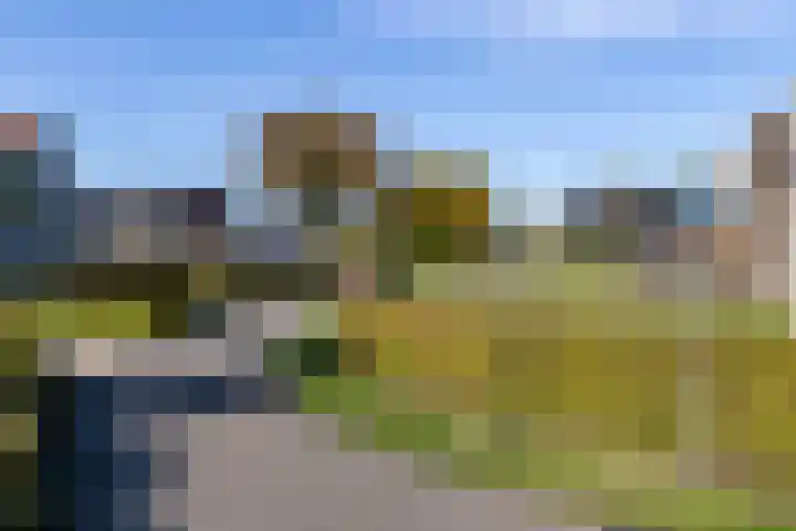 Elsweg 38 Harderwijk thumbnail 52