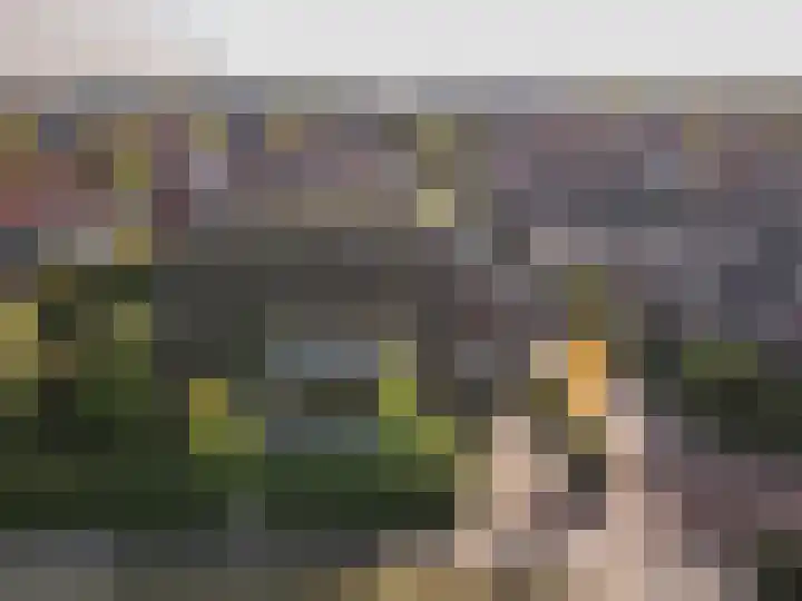 Elsweg 38 Harderwijk thumbnail 53