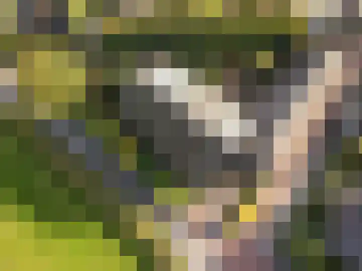 Elsweg 38 Harderwijk thumbnail 54