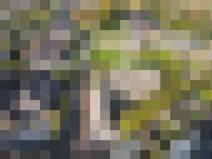 Elsweg 38 Harderwijk thumbnail 56