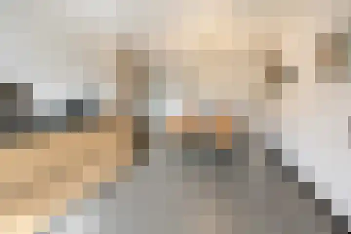 Elsweg 4 Alphen thumbnail 11