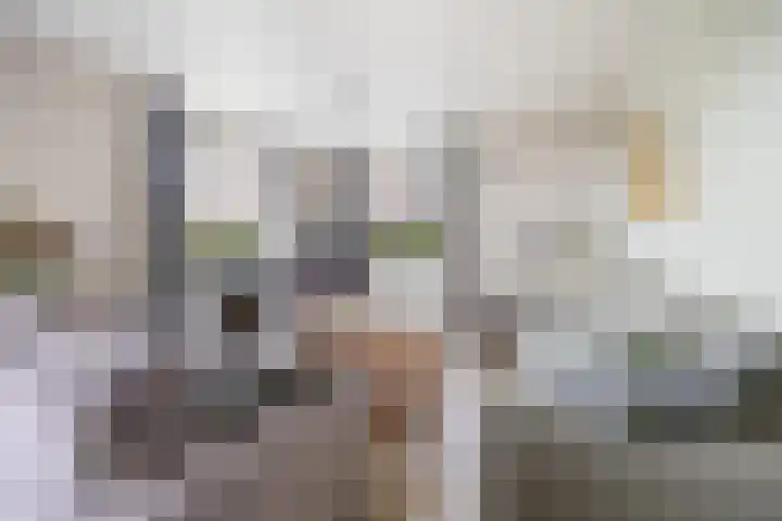 Elsweg 4 Alphen thumbnail 16