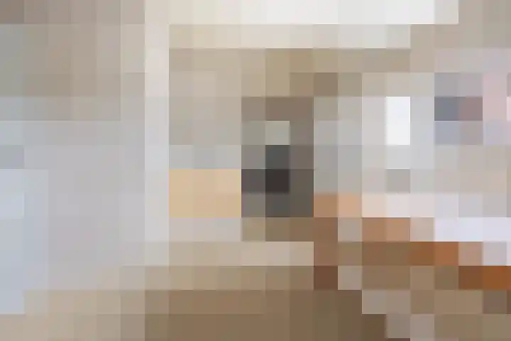 Elsweg 4 Alphen thumbnail 23
