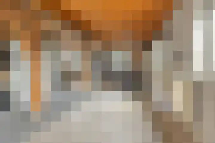 Elsweg 4 Alphen thumbnail 25