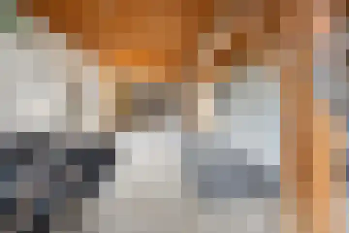 Elsweg 4 Alphen thumbnail 26