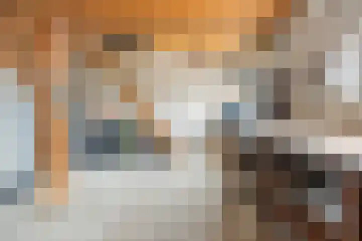 Elsweg 4 Alphen thumbnail 27