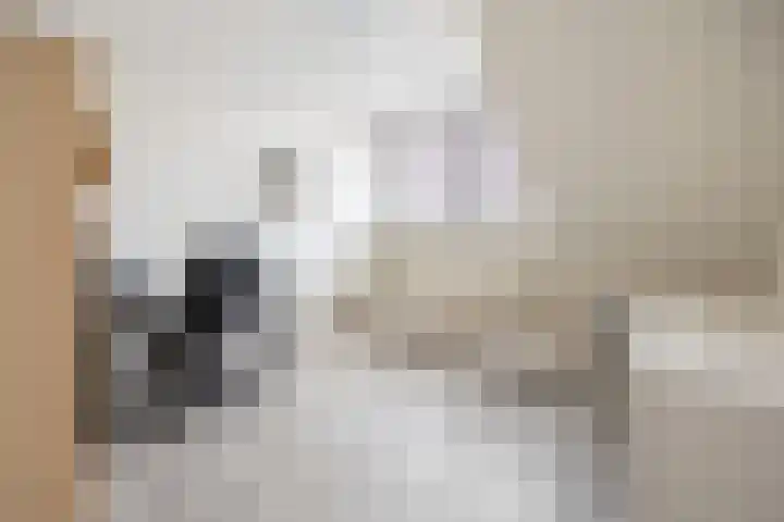 Elsweg 4 Alphen thumbnail 34