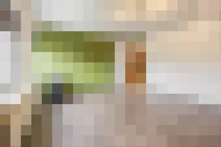 Elsweg 4 Alphen thumbnail 37