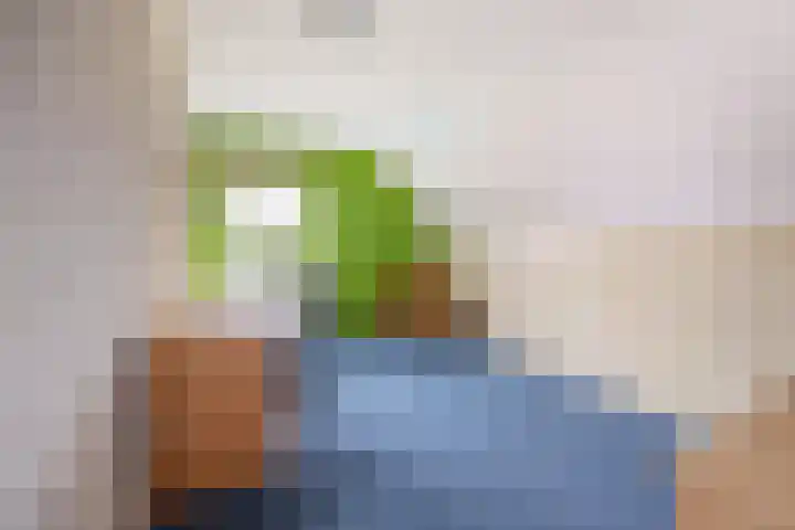 Elsweg 4 Alphen thumbnail 38