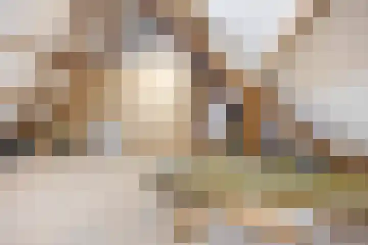 Elsweg 4 Alphen thumbnail 42