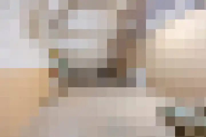 Elsweg 4 Alphen thumbnail 43