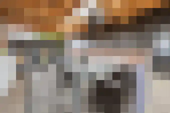 Elsweg 4 Alphen thumbnail 44
