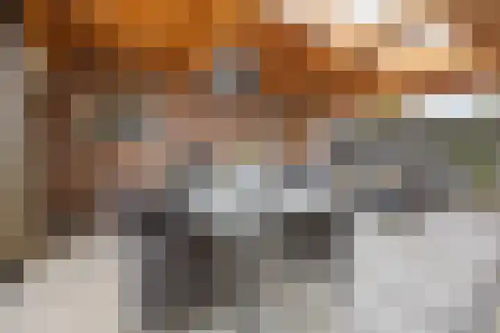 Elsweg 4 Alphen thumbnail 45
