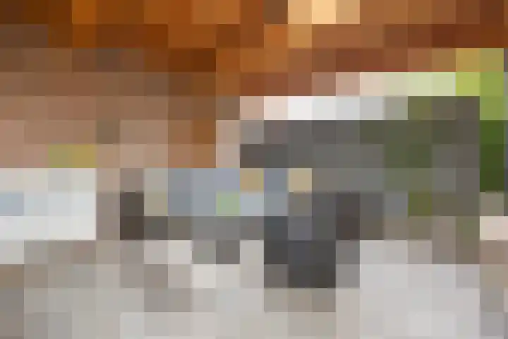 Elsweg 4 Alphen thumbnail 46