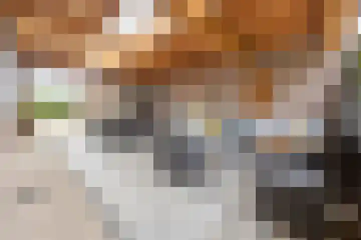 Elsweg 4 Alphen thumbnail 47
