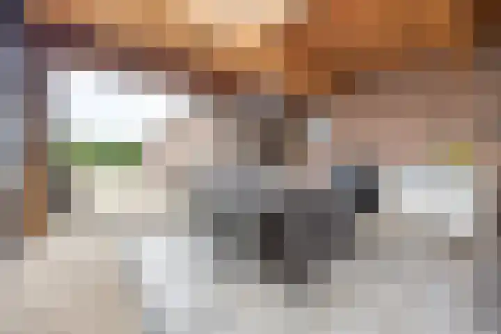 Elsweg 4 Alphen thumbnail 48