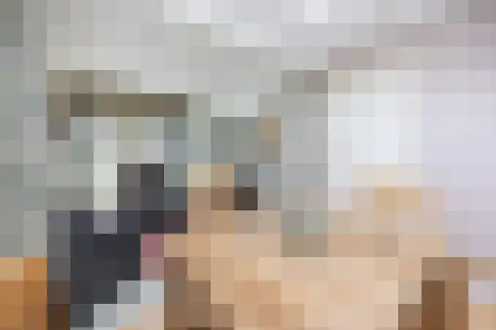 Elsweg 4 Alphen thumbnail 59