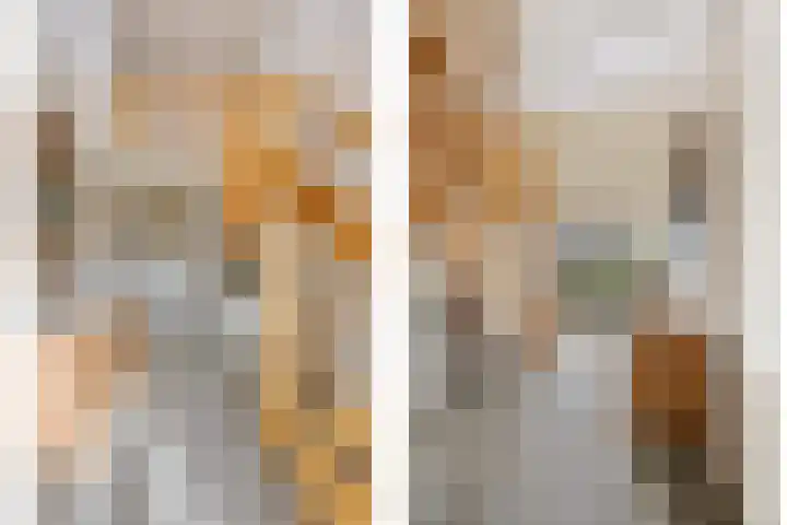 Elsweg 4 Alphen thumbnail 6
