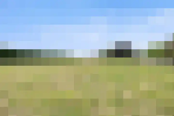 Elsweg 4 Alphen thumbnail 61
