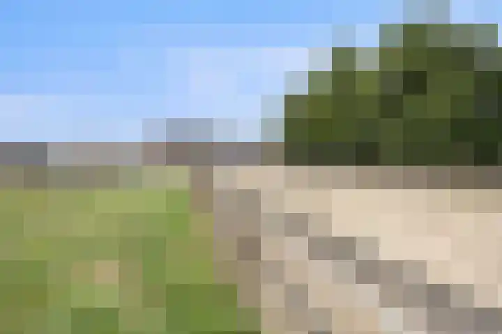 Elsweg 4 Alphen thumbnail 62