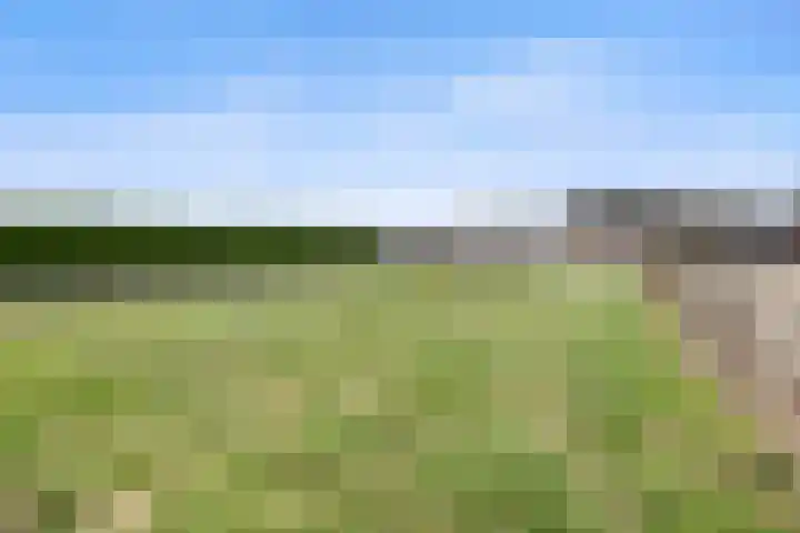Elsweg 4 Alphen thumbnail 63