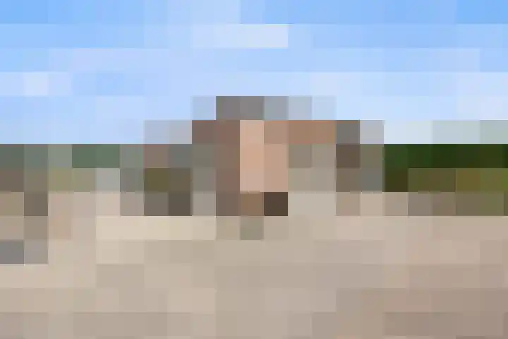 Elsweg 4 Alphen thumbnail 66