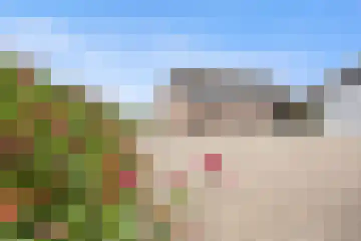Elsweg 4 Alphen thumbnail 72