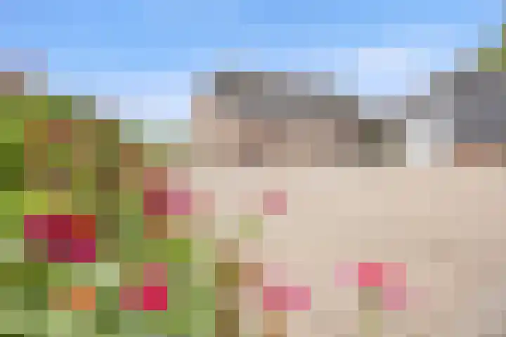 Elsweg 4 Alphen thumbnail 73