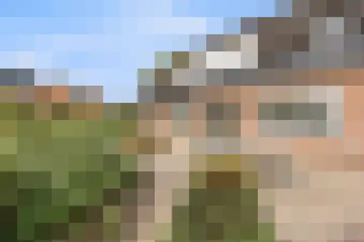 Elsweg 4 Alphen thumbnail 77
