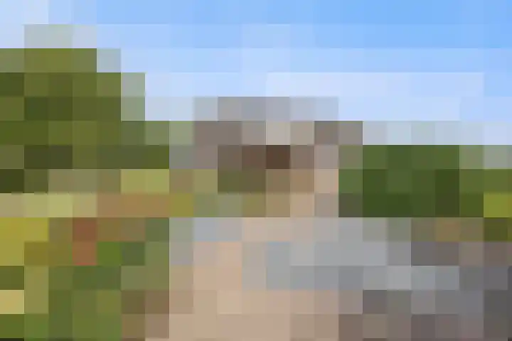 Elsweg 4 Alphen thumbnail 78