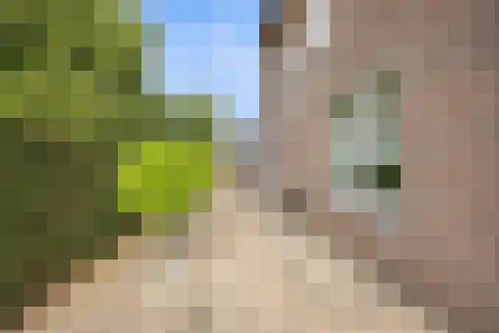 Elsweg 4 Alphen thumbnail 81