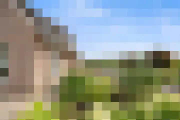Elsweg 4 Alphen thumbnail 82