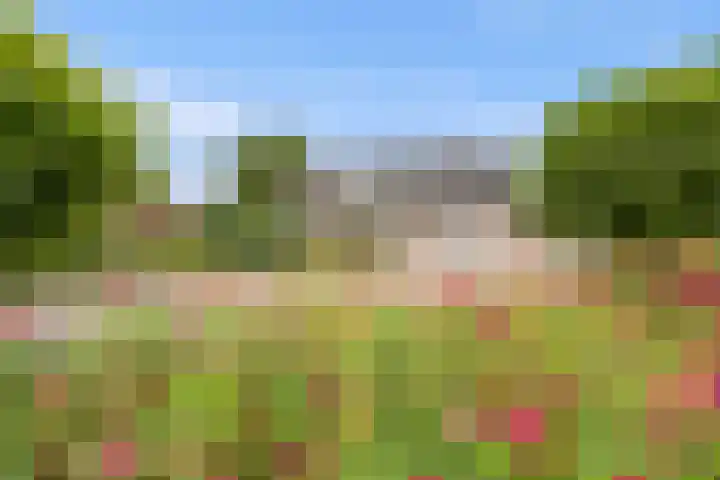 Elsweg 4 Alphen thumbnail 83