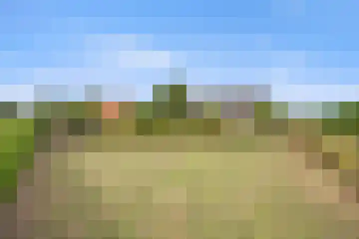 Elsweg 4 Alphen thumbnail 84
