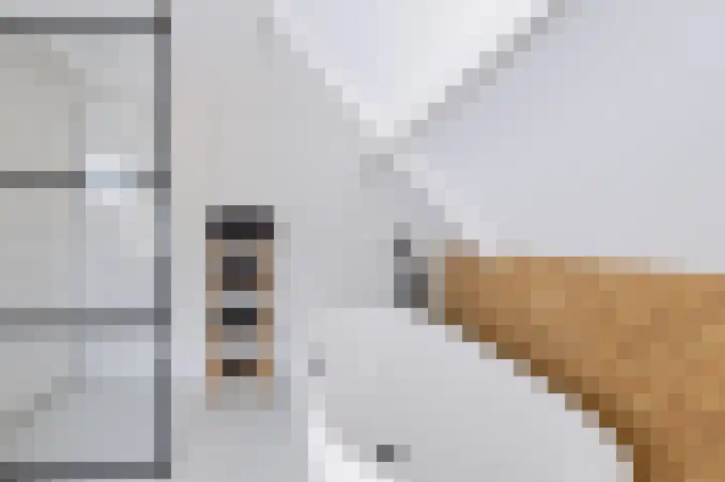 Elsweg 47 Apeldoorn thumbnail 23
