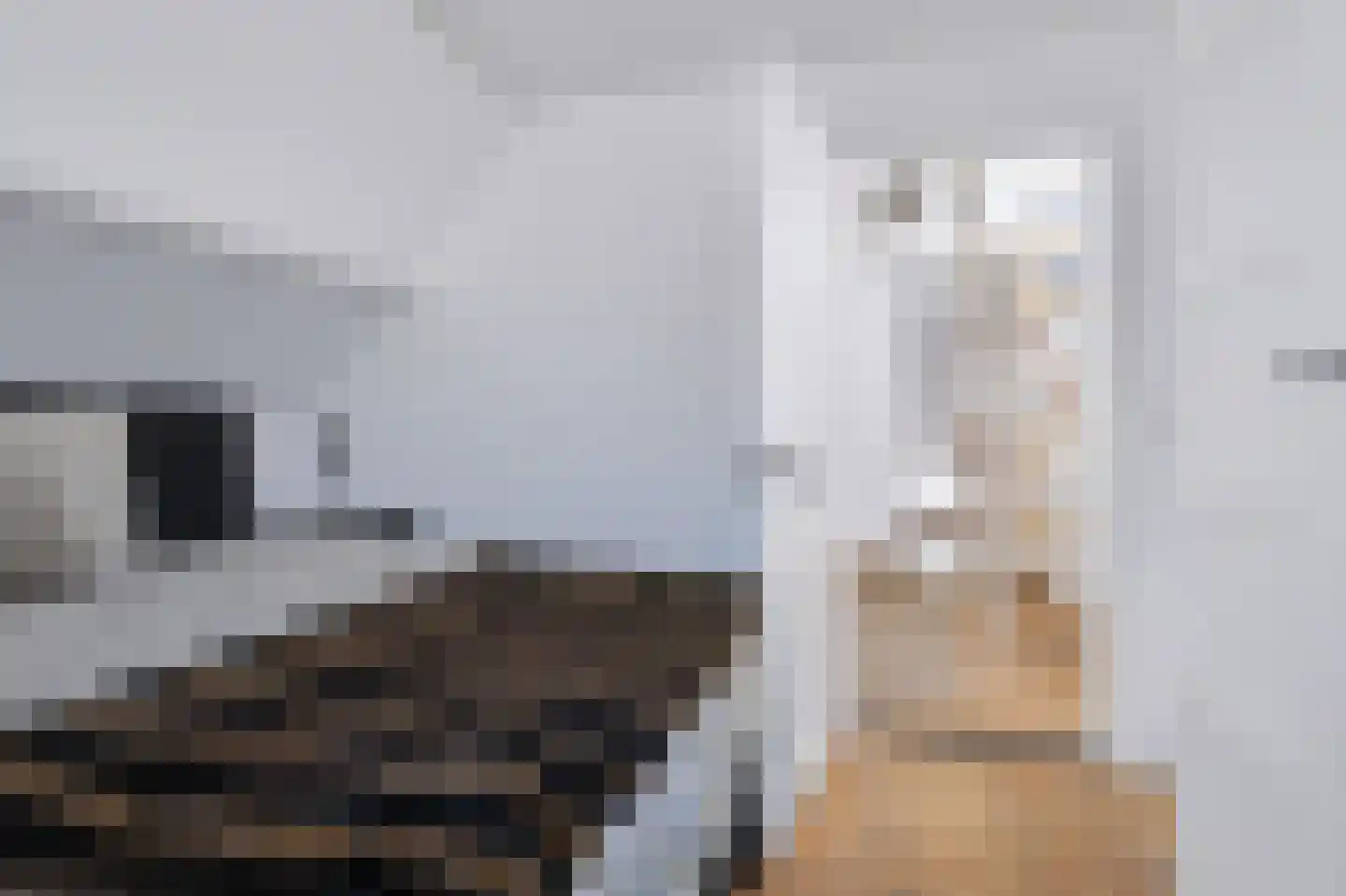 Elsweg 47 Apeldoorn thumbnail 26
