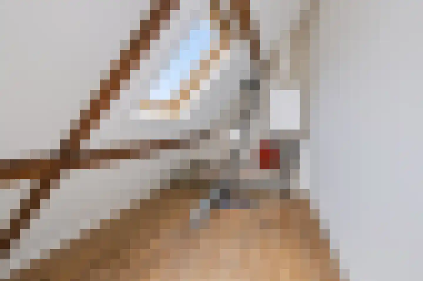 Elsweg 47 Apeldoorn thumbnail 29