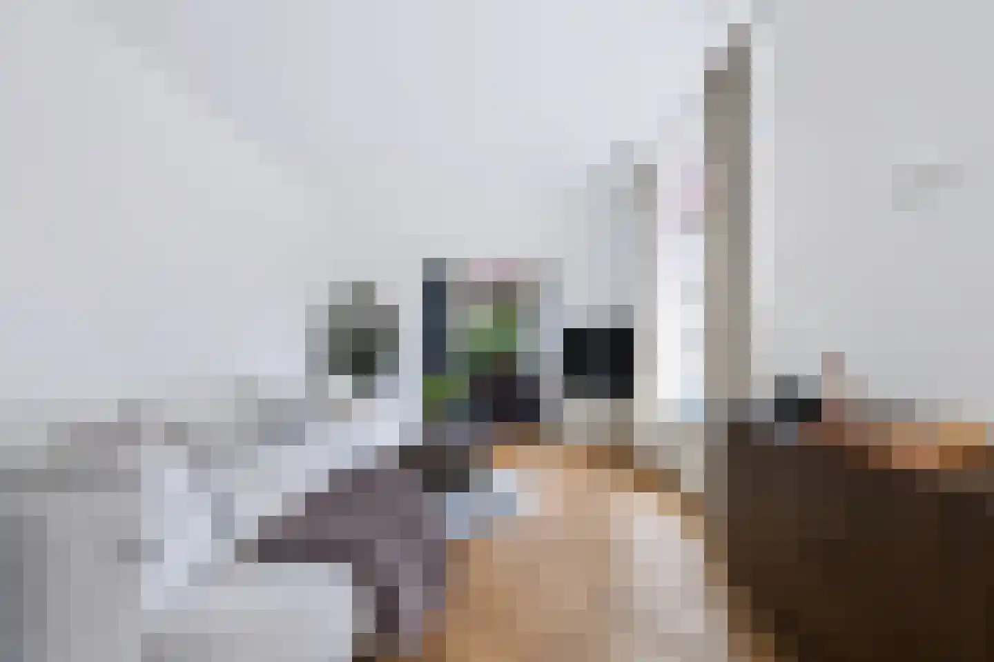 Elsweg 47 Apeldoorn thumbnail 4