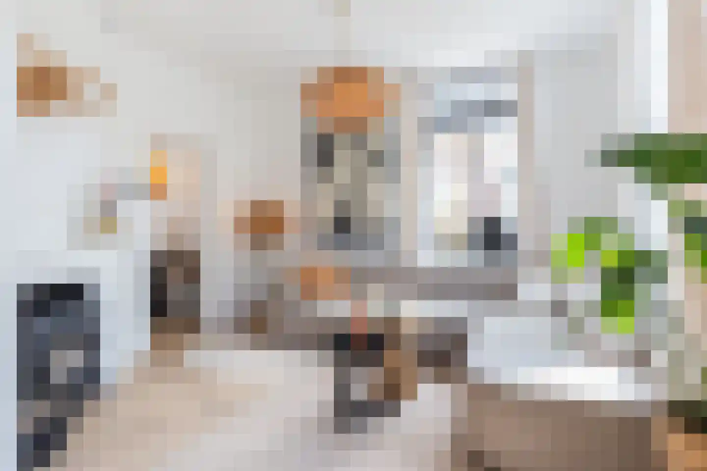 Elsweg 48 Apeldoorn thumbnail 13
