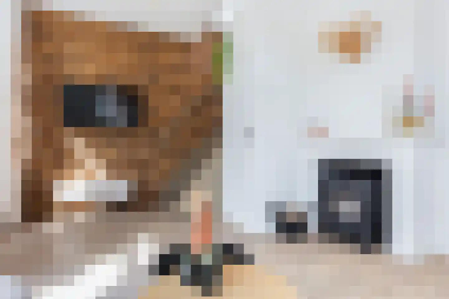 Elsweg 48 Apeldoorn thumbnail 14
