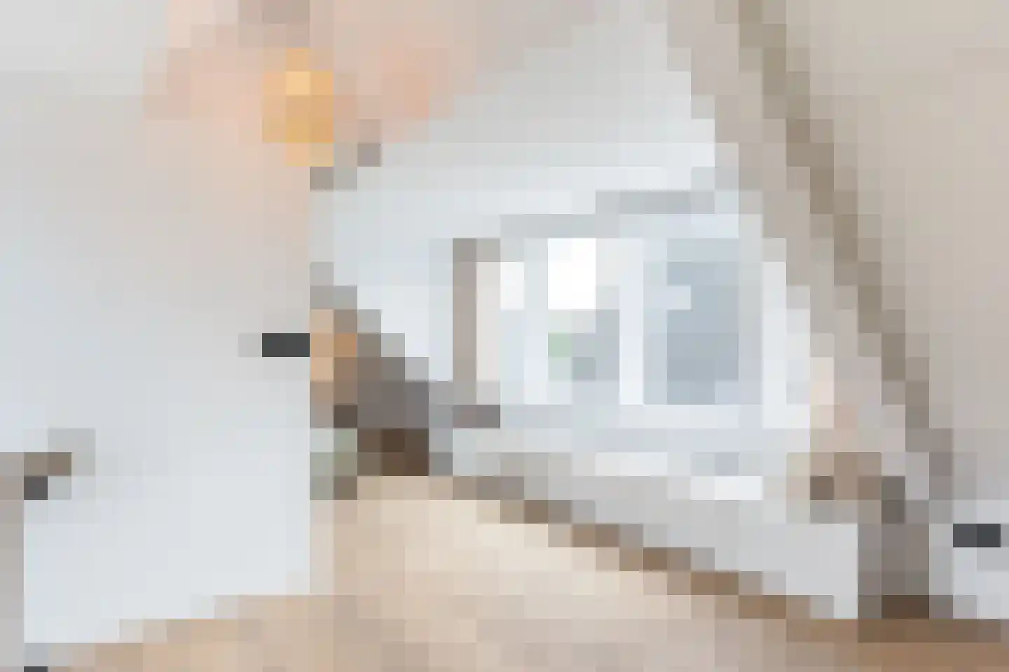 Elsweg 48 Apeldoorn thumbnail 15