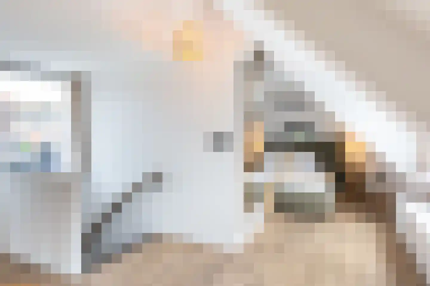 Elsweg 48 Apeldoorn thumbnail 16